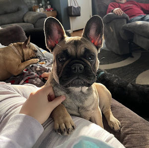 Meet your Posher, Tori